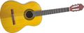 Jasmine by TakamineC20 Classic Nylon-String Acoustic Guitar