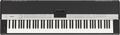 CP5 - 88-Key Stage Piano