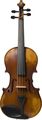 The RealistRV Series 4/4 Size Acoustic-Electric Violin