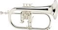YamahaYFH-8315G Custom Series Bb Flugelhorn