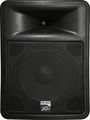 PeaveyPR 15D 15" Active Speaker