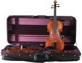 BellafinaDouble Violin Case