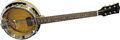 Gold ToneGT-500 Banjo