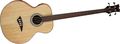 DeanEAB Fretless Acoustic-Electric Bass