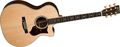 Performing Artist Series GPCPA2 Acoustic-Electric Guitar