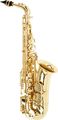 FranklinF721 Series Student Alto Saxophone