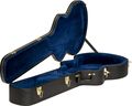 IbanezAFB100C Hardshell Case for AFB Artcore Bass Guitars