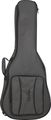 Cordoba100GB Full Size Classical Guitar Gigbag