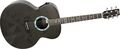 RainsongBlack Ice Series BIJM1000N2 Graphite Acoustic-Electric Guitar