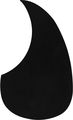 ProLineAcoustic M5-Style Pickguard