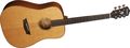 WashburnWD160SW All Solid Wood Dreadnought Acoustic Guitar
