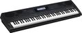 CasioWK-6500 76-Key Digital Keyboard Workstation