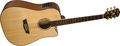 WashburnWD 35SCE Sitka Spruce Top Dreadnought Acoustic-Electric Guitar with Ash Back and Sides