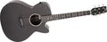RainsongStudio Series S-WS1000N2 Acoustic-Electric Guitar