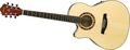 IbanezAEF18LE Left-Handed Acoustic-Electric Guitar