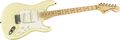 Fender Custom ShopStratocaster Pro Relic Electric Guitar