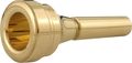 Denis WickDW4883 Tenor Horn Mouthpiece in Gold