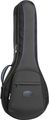 Reunion BluesRB Continental Banjo Case
