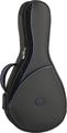 Reunion BluesRB Continental Mandolin Case