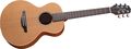 TakamineG Series Mini Acoustic Satin Guitar