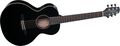 TakamineG Series Mini Acoustic-Electric Gloss Guitar