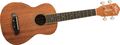 Oscar SchmidtOU2E Concert Ukulele with Active Pickup System