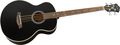 IbanezAEB5FE Fretless-Acoustic Electric Bass
