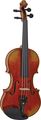 BazziniMaestro Strad Violin Outfit