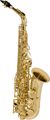 Stephanhouser ZAS500 Student Alto Saxophone Lacquer