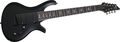 Schecter Guitar Research Special Edition Riot 8 8-String Electric Guitar Satin Black