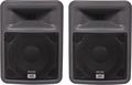 PeaveyPR 10 Speaker Pair