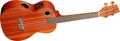 RiptideEUT-5NS Tenor Acoustic-Electric Ukulele