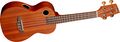 RiptideUC-5NS Concert Ukulele