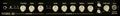 Egnater Rebel-30 30W Tube Guitar Amp Head Black/Beige 886830028472