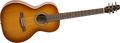 This is NOT a starter guitar, but will give you a good idea of what a parlor guitar looked like a century ago: Seagull Entourage Grand Parlor Acoustic-Electric Parlor Guitar Rustic
