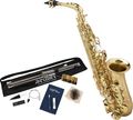 AlloraStudent Series Alto Saxophone Model AAAS-301 with Accessory Pack