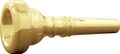 Bach Standard Series Cornet Mouthpiece in Gold Group I 1 1 2C