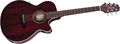 Takamine EG569C FXC Thin Line Acoustic-Electric Guitar Natural