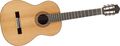 GuildGAD Series GC-2 Classical Acoustic Guitar