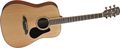 AlvarezArtist Series AD60 Dreadnought  Acoustic Guitar