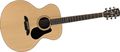 AlvarezArtist Series ABT60 Baritone Guitar