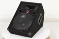 NadyPFW-15 2-Way 15" Monitor Speaker