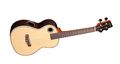 RiptideUT-2N Tenor Ukulele
