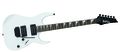 IbanezGRG120BDX Electric Guitar