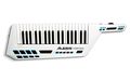 AlesisVortex USB/MIDI Keytar Controller with Accelerometer