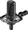 Audio-Technica&nbsp;AT4033CL Large Diaphragm Condenser Microphone&nbsp;&nbsp;Shockmounted