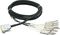 Live Wire&nbsp;8-Channel DSUB-TRS Snake&nbsp;&nbsp;10 FootCoiled