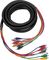 Hosa&nbsp;RCA-RCA 8-Channel Multitrack Recording Snake&nbsp;&nbsp;RCA-RCA 8-Channel Multitrack Recording Snake