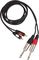 AV Link&nbsp;Dual RCA - 1/4