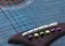 Jellifish&nbsp;HotRods Colored Bridge Pins&nbsp;Gold&nbsp;Purple-green-gold On Guitar